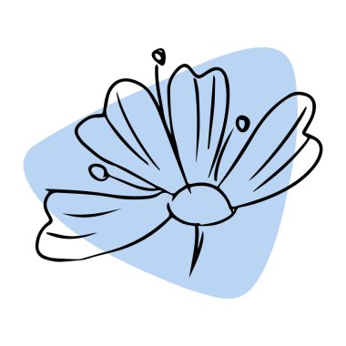 Daisy el çizimi çizimi. Renkli soyut şekil izole edildi. Satır sanatı.