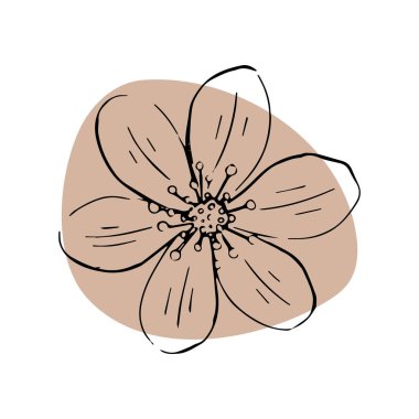 Daisy el çizimi çizimi. Renkli soyut şekil izole edildi. Satır sanatı.