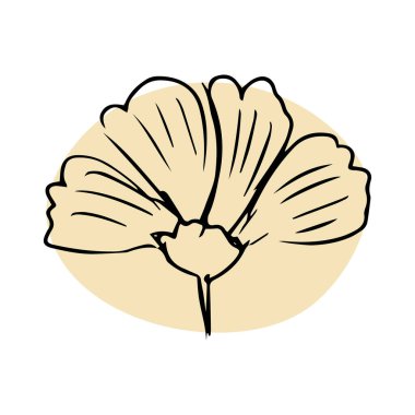 Soyut şekilli Daisy el çizimi resimli. Çizgi çalışması. Beyaz arkaplanda izole.