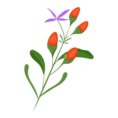 Goji üzümleri renkli çizimler yapar. izole vektör.