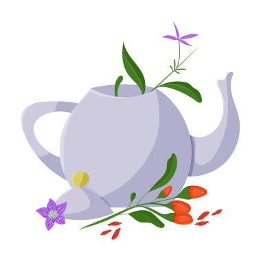 Çaydanlık renkli resimli Goji üzümü bitkisi. izole vektör.