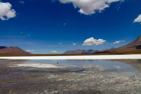 Lagoa na Bolívia - América do Sul — Fotografia de Stock