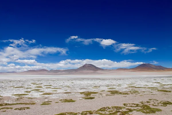 Bolivia - Desierto de Siloli — Foto de Stock