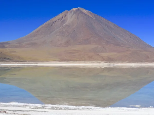 Lincancabur Volcan - Болівія — стокове фото