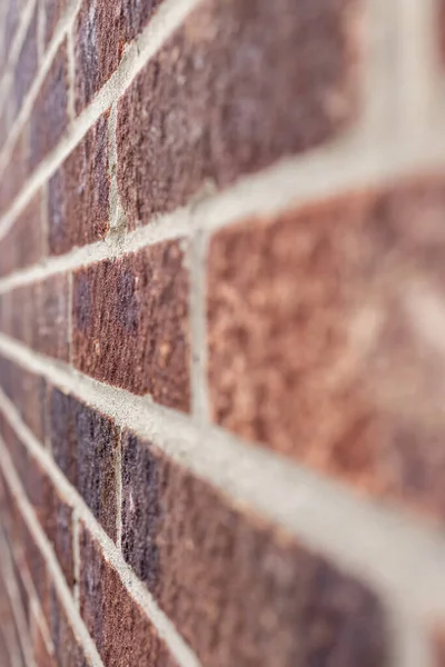 Brick wall with out of focus elements and copy space