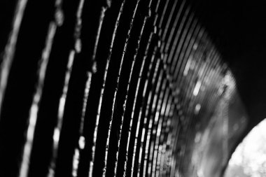 Kopyalama alanı ve odak unsurları olmayan bir tünelde eğri çizgiler