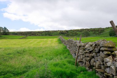 Pennine Yolu. Bowlees Tees Valley, Durham County 'deki çiftlik arazisi.