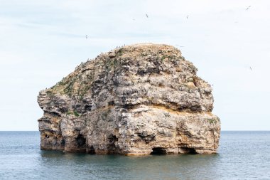 South Shields UK: 11 Ağustos 2018: Marsden Kayası