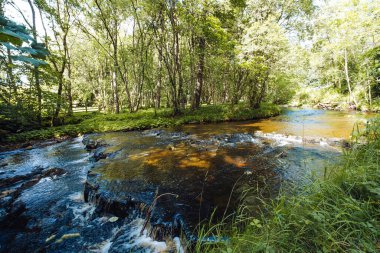 Bowless Ziyaretçi Merkezi Bowlees Tees Vadisi 'nde akan bir dere.