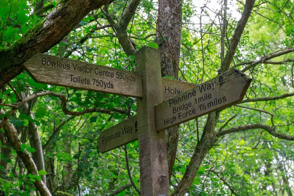 Pennine Yolu Tees Vadisi 'ndeki yürüyüşçüler için ahşap yön direği