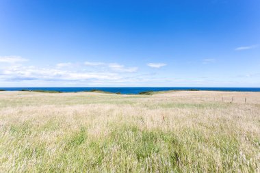 Durham Heritage Sahili, güzel bir yaz gününde denize açılan uzun otlaklar.