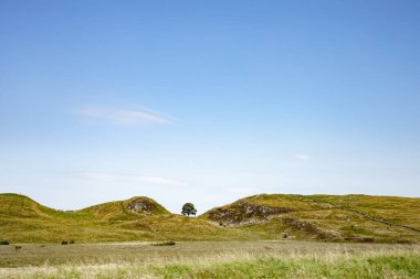 Northumberland UK: Hadrians Duvarındaki Sycamore Geçidi