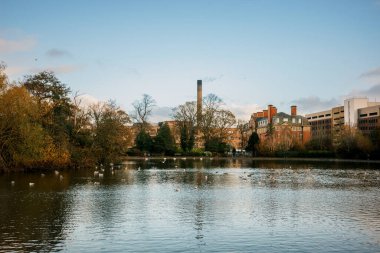 Tyne UK 'deki Newcastle: 17 Kasım 2025: Newcastle City' deki Leazes Park 'ta göl kenarında sonbahar. Ördekler suda yüzerken, binalar arka planda öğleden sonra açık bir gökyüzünün altında dik duruyorlar.
