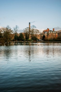 Tyne UK 'deki Newcastle: 17 Kasım 2025: Newcastle City' deki Leazes Park 'ta göl kenarında sonbahar. Ördekler suda yüzerken, binalar arka planda öğleden sonra açık bir gökyüzünün altında dik duruyorlar.