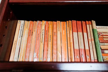 Northumberland UK: 19 Temmuz 2025: Bir kütüphane rafı, farklı yazarların ünlü turuncu dikenli eserlerinin yer aldığı çeşitli bir Penguen Kitabı koleksiyonuna sahiptir