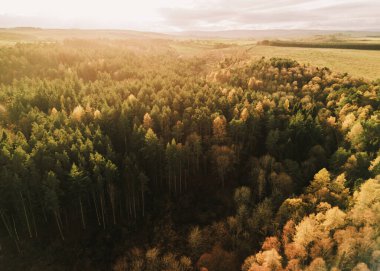 Bir dron, Northumberland 'da Hexham yakınlarındaki yeşil alanları görüyor. Manzarada uzaktaki ağaçlar ve ormanlar yer alır. Gün batımına doğru uçarken