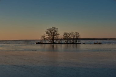 The landscape before sunrise, a small island with trees, on the one hand, is bound by newly formed ice, and on the other, it is washed by unfrozen water. Around - the fabulous colors of an early frosty morning.