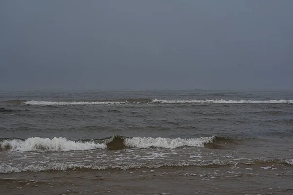 海上的海景 芬兰湾 一月的清晨 在雪蒙蒙的薄雾中 寒风掀起了小海浪 无底的灰暗的天空 把它们冻住了 — 图库照片