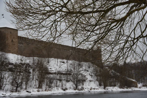 Ein Winterweidenzweig Vor Dem Hintergrund Eines Nicht Gefrorenen Flusses Und — Stockfoto