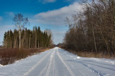 Kışlık bir ormanda, güneşli bir günde bulutlu mavi bir gökyüzünün altında karlı bir orman yolu..