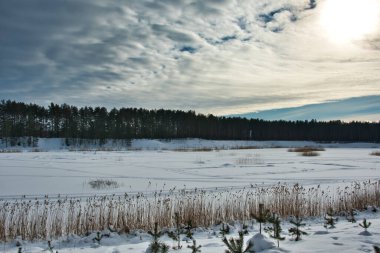 Soğuk bir günde, karlı bir orman gölünün kış manzarası. Resmedilmeye değer kuzey gökyüzü..