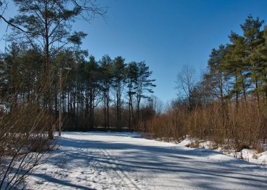 Güneşli bir günde mavi gökyüzünün altında kayak pisti olan karla kaplı bir orman parkı manzarası..