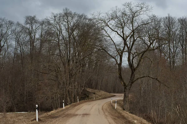 Der Landschaft Führt Ein Kurvenreicher Feldweg Einem Bewölkten Regentag Durch — Stockfoto