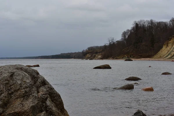爱沙尼亚纳尔瓦湾 有着突出的花岗岩巨石和陡峭的石灰岩沙质海岸线 在阴天覆盖着春天落叶森林 下着毛毛毛雨 — 图库照片