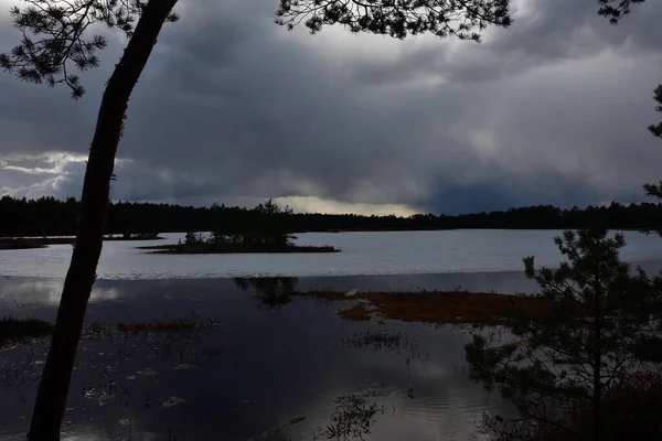 Die Landschaft Eines Sumpfsees Mit Eisresten Unter Den Malerischen Gewitterwolken — Stockfoto