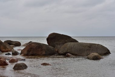 Çeşitli boyut ve renklerde granit kayalar, pembe ile koyu gri arasında, kıyıya yakın Narva Körfezi 'nin sakin sularından çıkan protrude yağmurlu bir günde.