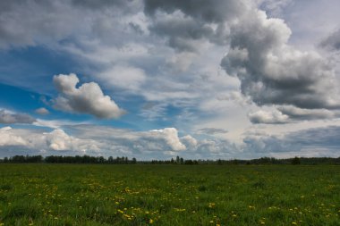 Gökyüzü yeşil bir çayırın üzerinde bulutlarla, çimenler ve sarı karahindibalarla, ufukta neredeyse hiç fark edilmeyen bir sisle bir orman şeridi görünüyor..