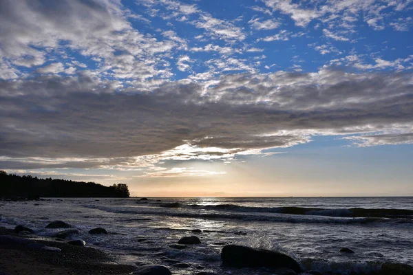 Tarde Narva Bay Con Una Orilla Boscosa Antes Puesta Del — Foto de Stock