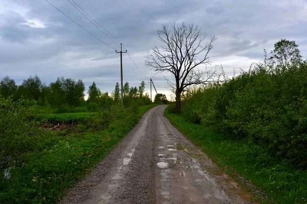 Landsväg Kvällen Pölar Efter Regn Klättrar Kulle Förbi Ett Vissnat — Stockfoto