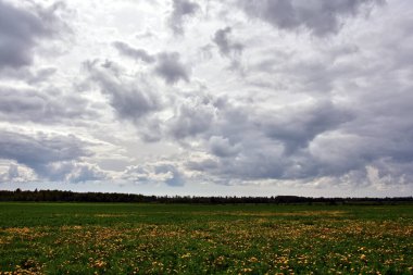 Yoğun gri sisli gri bulutlar, güçlü güneş ışığı bu kütle boyunca parlar, hacmin etkisini arttırır ve ufukta karahindiba ve zıt ormanlar ile yeşil bir alanı aydınlatır..