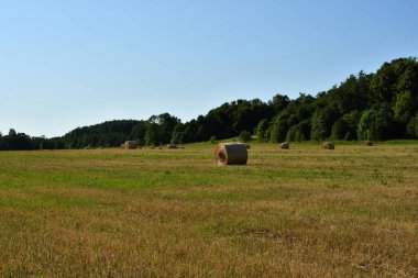 Temiz bir gökyüzünün altında, temiz ve sulu yeşillikleri ve davetkar serin gölgeleri olan bir ormanın arka planında, sıcak güneşin altında kokulu saman balyalarıyla bir orman çayırı..