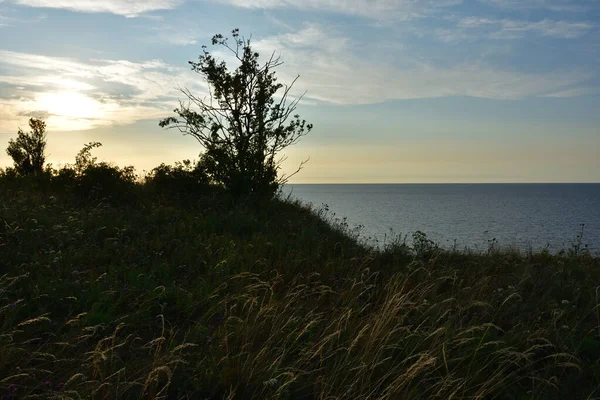 Rivage Mer Baltique Avant Coucher Soleil Soleil Dans Une Brume — Photo