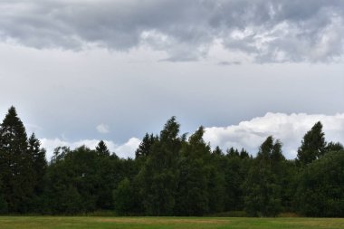 Bir çayırın kenarındaki yeşil, yoğun bir ormanın üzerinde gök gürültüsü bulutları olan bir gökyüzü..
