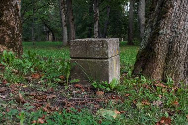 Nature meets man-made: a weathered concrete park urn with texture detail, set against a backdrop of green grass and dark trees in Johvi, Estonia.