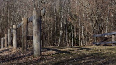 Nisan ayı başlarında, Estonya 'nın güneşli bir yaprak döken ormanında kırsal ahşap çitler. Gelişmekte olan tomurcukları olan çıplak ağaçlar ve bahar ışığı altında uzun gölgeler..