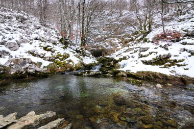 Kış mevsiminde huzurlu bahar sularının manzarası