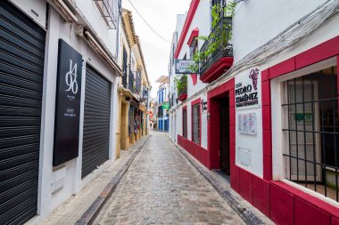 Cordoba, İspanya. 14 Ağustos 2020: İspanya, Cordoba şehrinin renkli sokaklarının manzarası