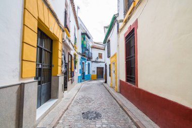 Cordoba, İspanya. 14 Ağustos 2020: İspanya, Cordoba şehrinin renkli sokaklarının manzarası