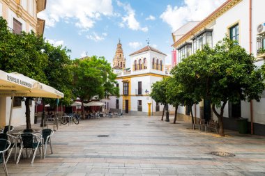 Cordoba, İspanya. 14 Ağustos 2020: İspanya, Cordoba şehrinin renkli sokaklarının manzarası