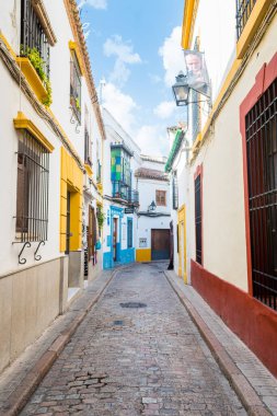 Cordoba, İspanya. 14 Ağustos 2020: İspanya, Cordoba şehrinin renkli sokaklarının manzarası