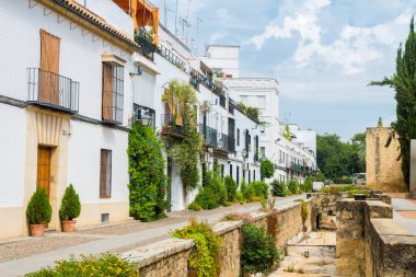 Cordoba, İspanya. 14 Ağustos 2020: İspanya, Cordoba şehrinin renkli sokaklarının manzarası