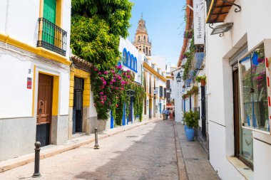 Cordoba, İspanya. 14 Ağustos 2020: İspanya, Cordoba şehrinin renkli sokaklarının manzarası
