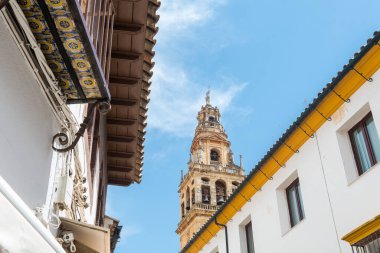 Cordoba, İspanya. 14 Ağustos 2020: İspanya, Cordoba şehrinin renkli sokaklarının manzarası