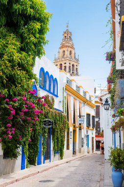 Cordoba, İspanya. 14 Ağustos 2020: İspanya, Cordoba şehrinin renkli sokaklarının manzarası