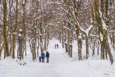 Karlı bir ormanda yürüyüşe çıktım.