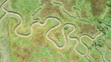 Nehirden geçen yılan bataklığının havadan görünüşü